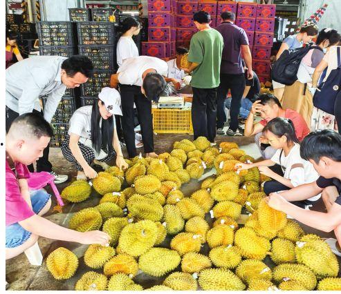 南宁水果爆料案件最新情况,真相大白,涉案人员悉数落网 第3张 南宁水果爆料案件最新情况,真相大白,涉案人员悉数落网 第3张